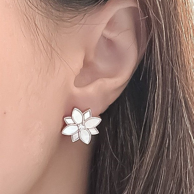 Clematis White Mother of Pearl Classic Studs