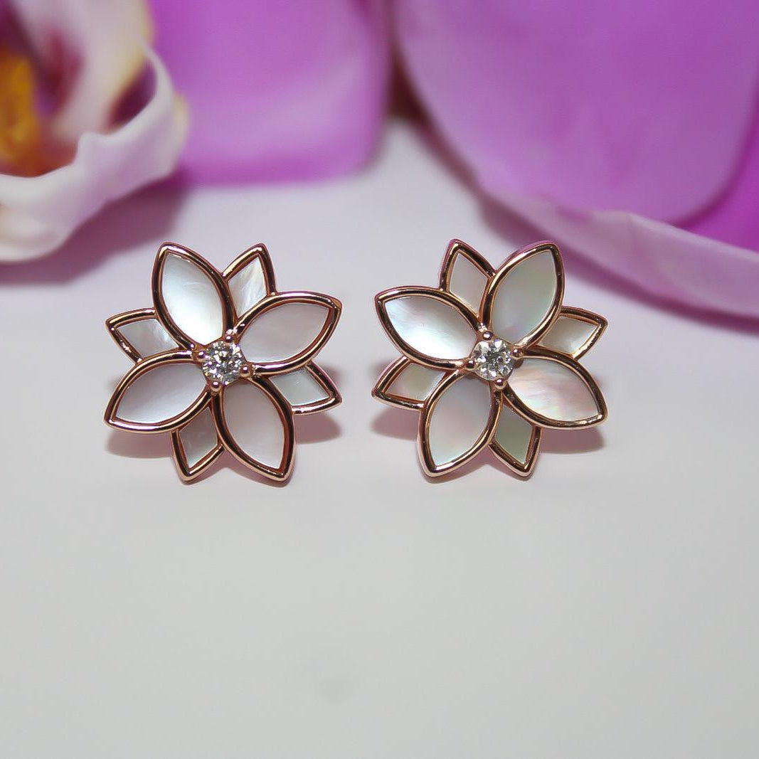 Clematis Pink Mother of Pearl Classic Studs
