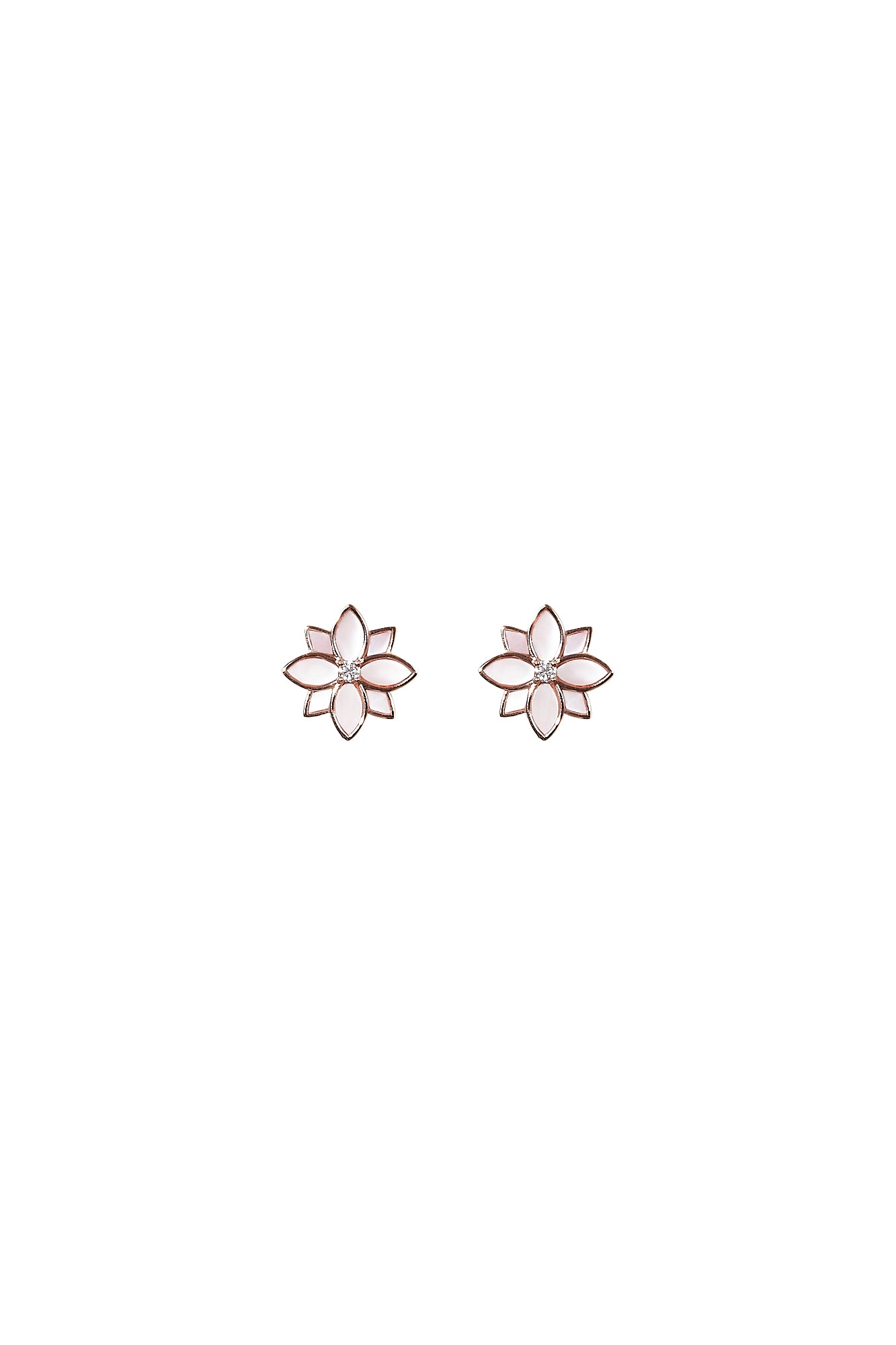 Clematis Pink Mother of Pearl Classic Studs