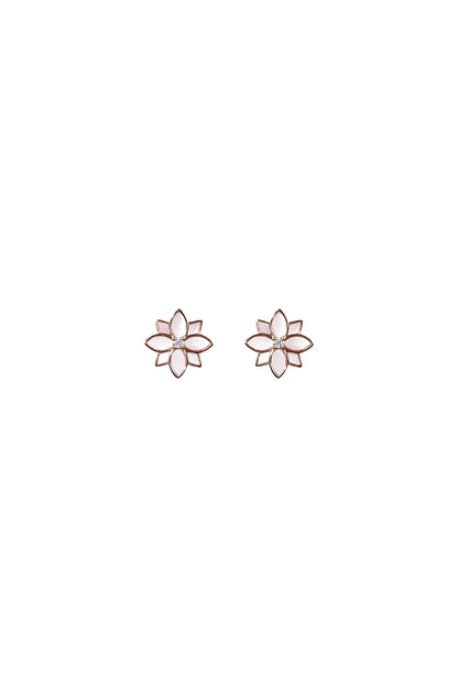 Clematis Pink Mother of Pearl Classic Studs