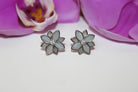 Clematis Chalcedony Classic Studs